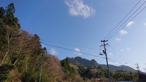 新緑の季節