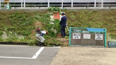 ブルーベリー初荷