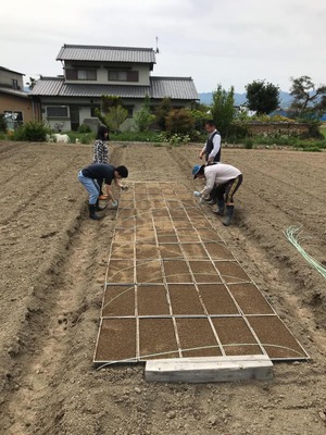 籾蒔き
