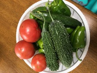 夏野菜