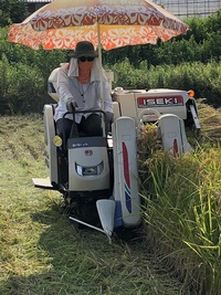 自然との闘い