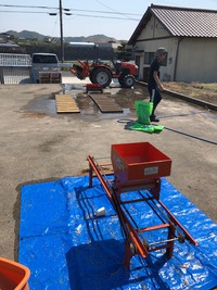 籾蒔き
