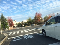 医大の紅葉