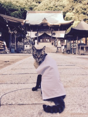 お遍路にゃん（八栗寺）