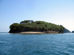 絹島