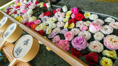 花手水