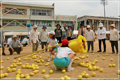 運動会日和～♪