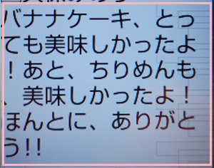 みーちゃんにプレゼント