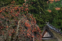 日本の原風景～♪