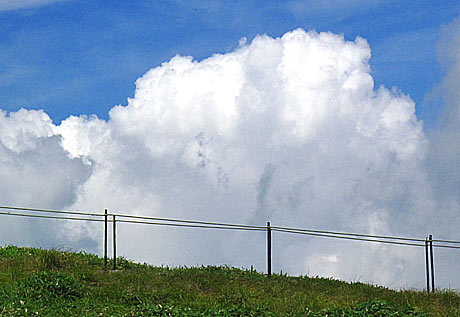 入道雲