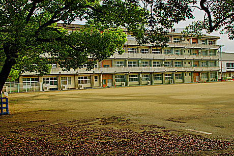 学校