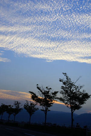 一雨に　・・