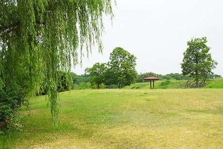 炎暑の公園
