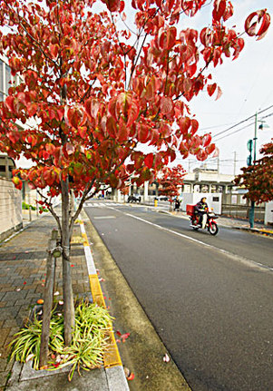 裏通り