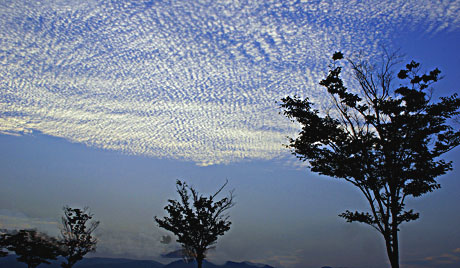 秋の空