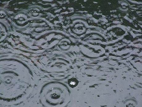 雨の音