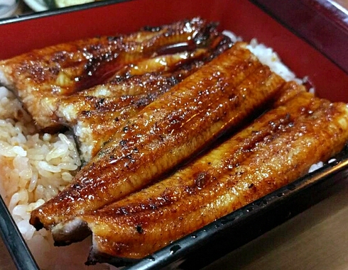 宝楽