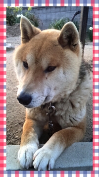 おめでとうっ(⊙♡⊙)