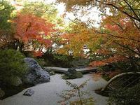 秋のち真冬…時々嵐？