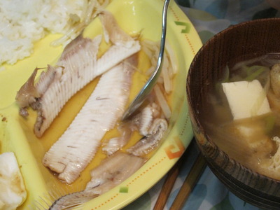 久し振りに食事の写真
