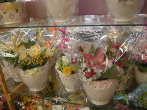 菜の花（産直）～一宮町～