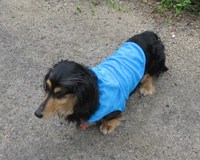 梅雨入りなのに
