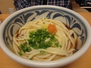 さぬき乃うどん