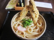 情熱うどん　わらく