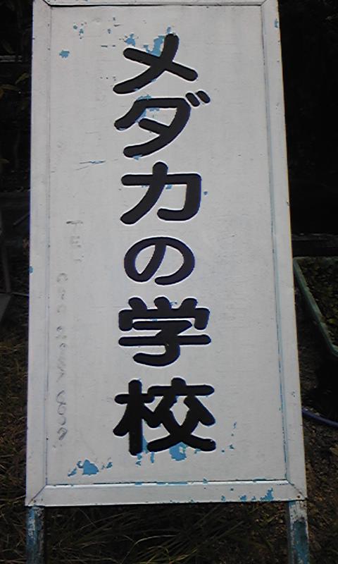 メダカの学校は～