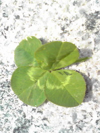 2008年06月01日
