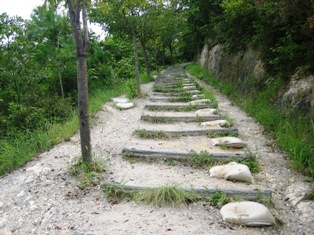 久しぶりの里山