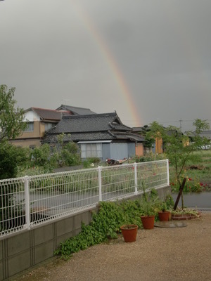 雨上がりの空には。。。♪♪♪