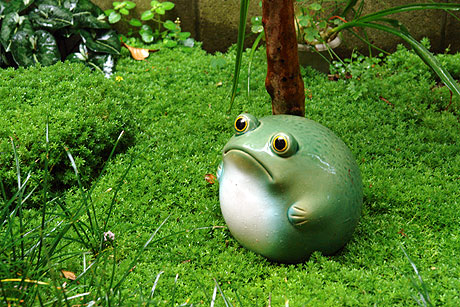 雨をよぶ　・・・