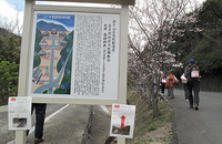 つるつるウオーク