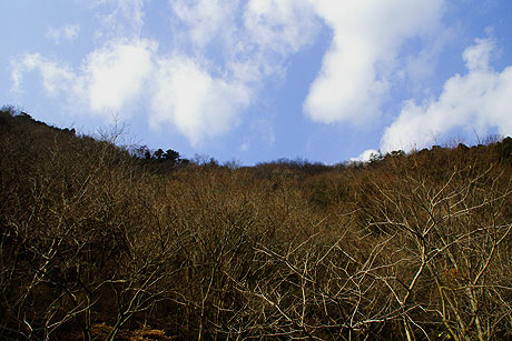 冬の山