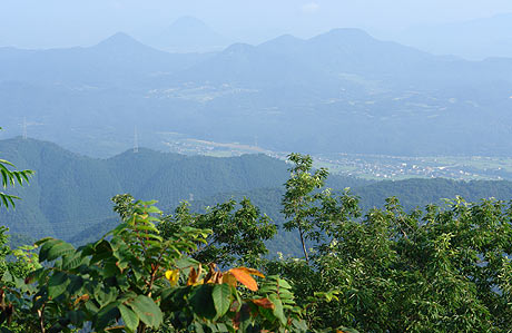 初秋の声