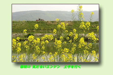 春の朝