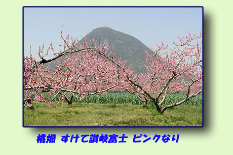 讃岐富士