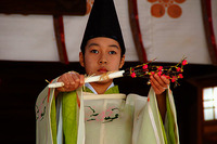 梅花祭