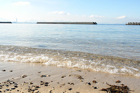 春の浜