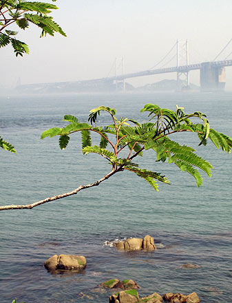 初夏の浜