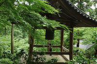 白峯寺
