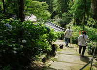 白峯寺