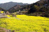 谷間の村