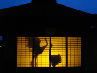 夜の後楽園