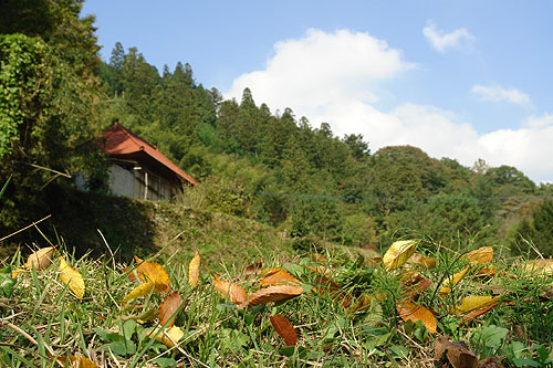 赤い屋根