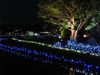 夜の後楽園