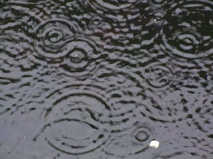 　”・・雨・・　”