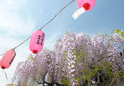 　初夏の風・・・