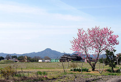 ”　きょうから四月・・・　”
